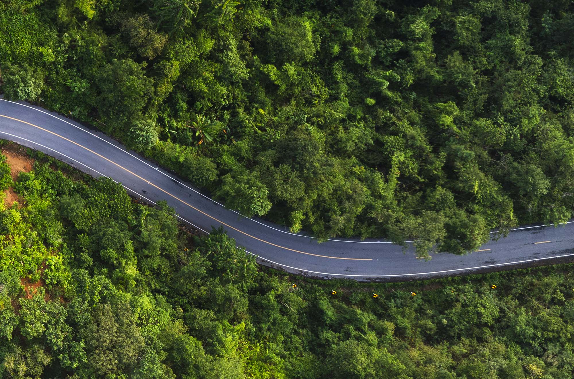Get a practical roadmap for AI-Native transformation. Learn how leaders are tackling change management, governance, and strategy for success.